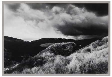 Elio Ciol (1929)
Contrasti, Paludea di Castelnuovo, 2005