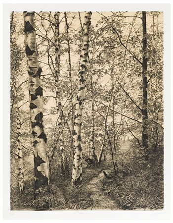 Livio Ceschin (1952)
Sentiero