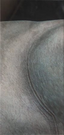 Vania COMORETTI Udine, 1975 Senza titolo, 2006 tecnica mista su carta cm 54x26,5