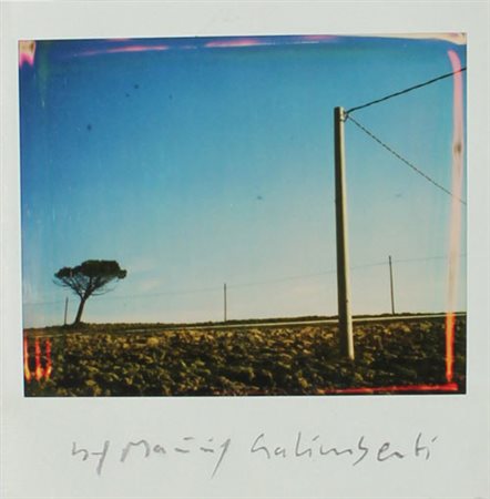 Maurizio GALIMBERTI Meda, 1956 Capalbio Toscana, 1995 polaroid cm 10x10...