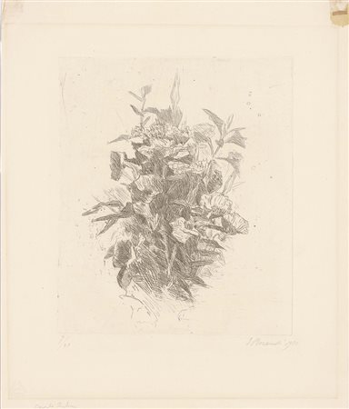 Giorgio Morandi, Bologna 1890 - 1964, Fiori di campo, 1930, Acquaforte su...