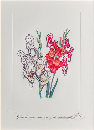 Salvador Dalí (1904 - 1989)
Gladiolus cum aurium corymbo exspectantium, 1972