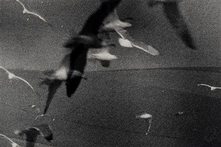 Mario Giacomelli (1925 - 2000)  - Senza titolo (Uccelli), 1980s/1990s