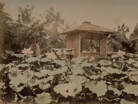 Yokoama (scuola di) (XIX sec. XX sec.)  - Shinobazu, 1880s/1900s