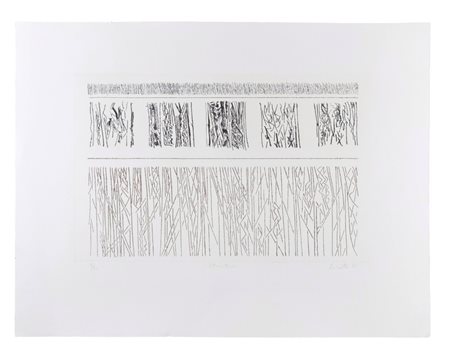 Riccardo Licata, Structure