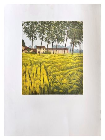 Oliviero Masi, Senza titolo