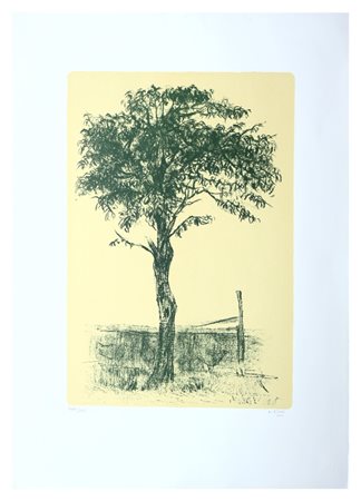 Alberto Ziveri, Senza titolo