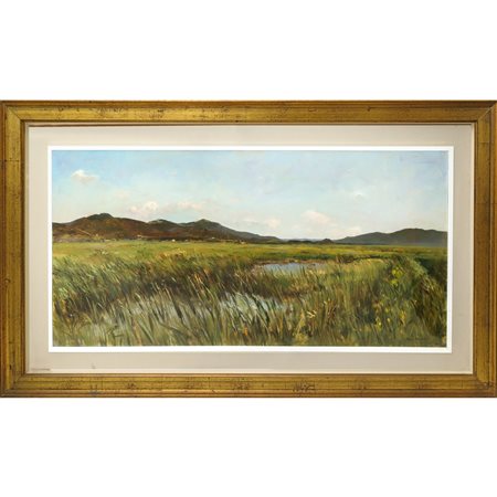 Bruno Guaitamacchi (1931 - 2005)  - Marema toscana: palude