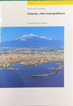 Catania, città metropolitana, 1991