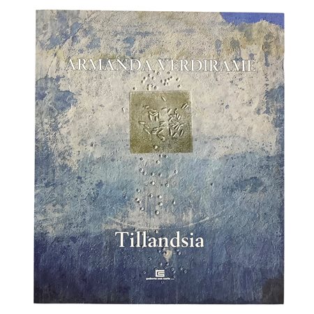 Armanda Verdirame. Tillandsia, 2018