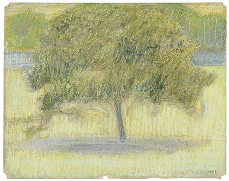 Giacomo Balla, Torino 1871 - Roma 1958, Villa Borghese, Pastello su carta,...