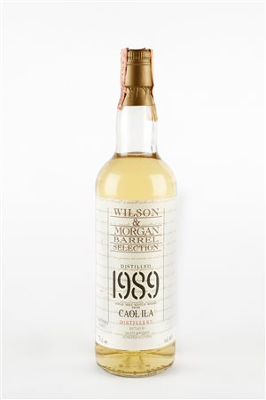 Caol Ila (Islay, 1846 - ) 
Caol Ila 1989 Wilson & Morgan Barrel Selection 1989
46% vol 1 BT 70 cl