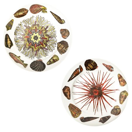 Piero Fornasetti - Coppia di piatti in ceramica Fornasetti, Serie Conchiglie, 20° secolo