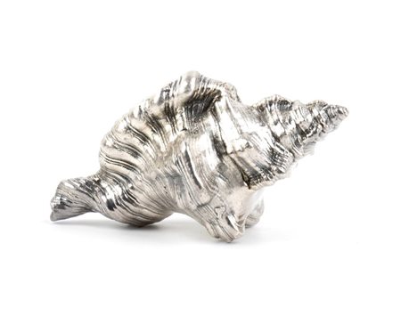 FEDERICO BUCCELLATI Conchiglia marina montata in argento Italia, XX secolo...