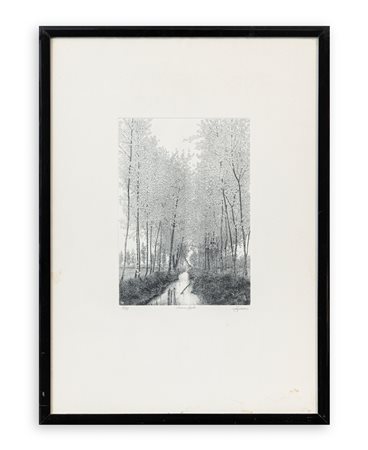 AGOSTINO ZALIANI (1932) - Prime foglie