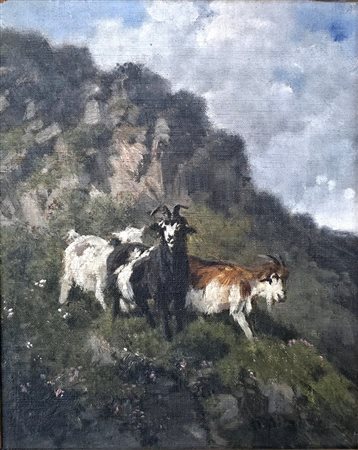 Capre al pascolo