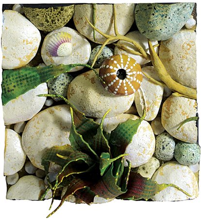 GILARDI PIERO Torino 03/08/1942Aloe sulla spiaggiapoliuretano espanso cm...