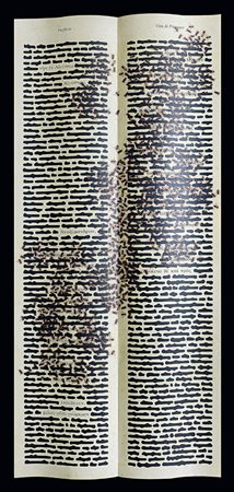 ISGRO' EMILIO Barcellona Pozzo Di Gotto (ME) 06/10/1937Kai Pròs,...