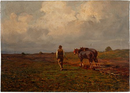Aratura nei campi