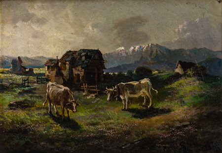 Mucche al pascolo