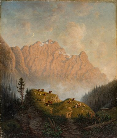 Mucche in alpeggio