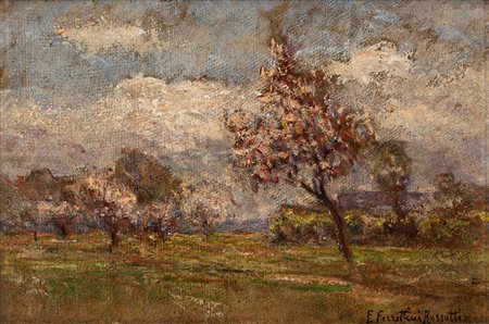 Alberi in fiore