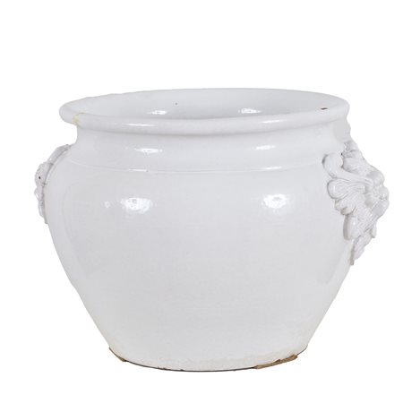PORTAVASO CON TESTA LEONINA