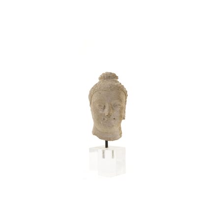 Testa di Buddha, Gandhara, III/IV secolo