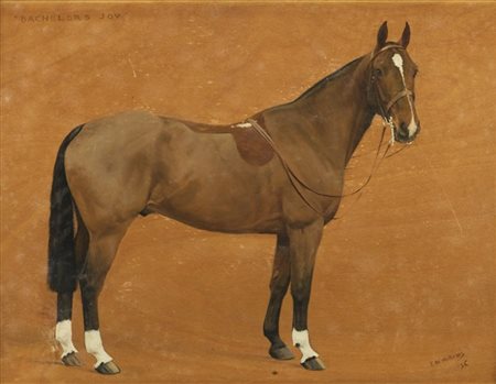 Frances Mabel Hollams * "Bachelor's Joy" 1936
olio su compensato (cm 35x45)
firm