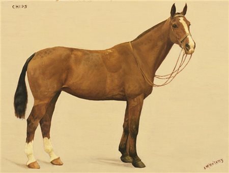 Frances Mabel Hollams "Chips" 
olio su compensato (cm 30x40)
firmato in basso a