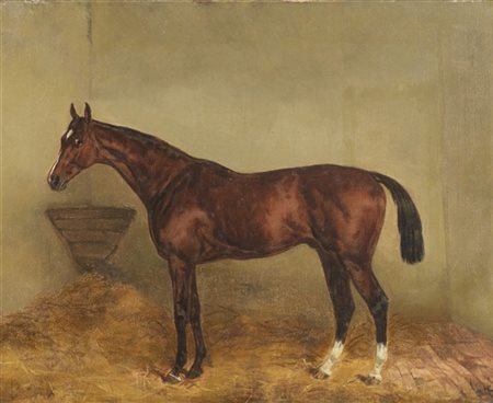 * Scuola inglese del secolo XIX

"Cavallo" 
olio su tela (cm 43x53)
reca monogr