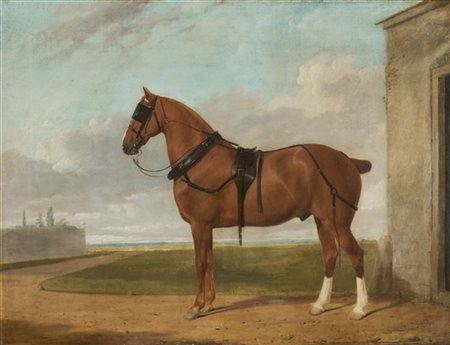 * Scuola inglese del secolo XIX

"Cavallo entro paesaggio" 
olio su tela (cm 52