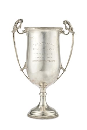 Trofeo in argento "The Normary Challenge Cup - Best dog or bitch over one year