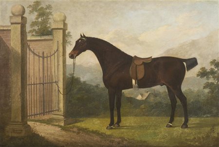 * Scuola inglese del secolo XIX 
"Cavallo in riposo" 
olio su tela (cm 60x90)