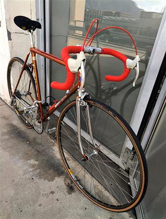WILIER TRIESTINA
