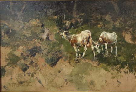 Pecore al pascolo