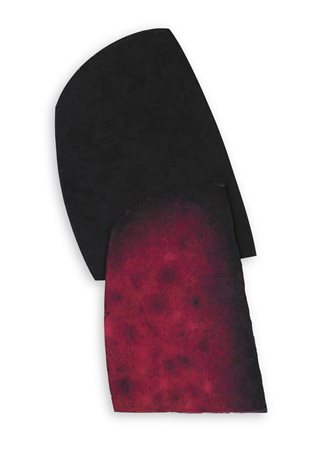 STEFANO TURRINI (1951) - Ombra di un rosa primario, 2006