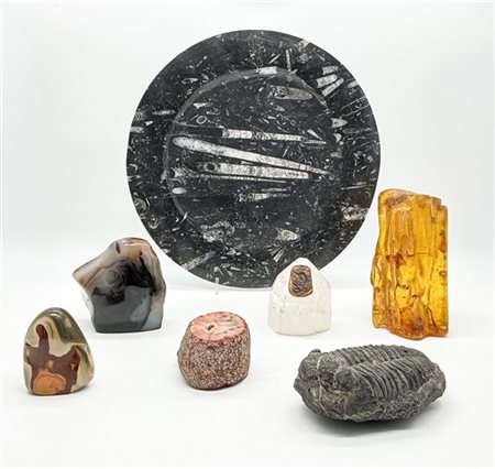 NATURALIA 
Lotto composto da numerosi frammenti di pietre naturali, cristallo,
