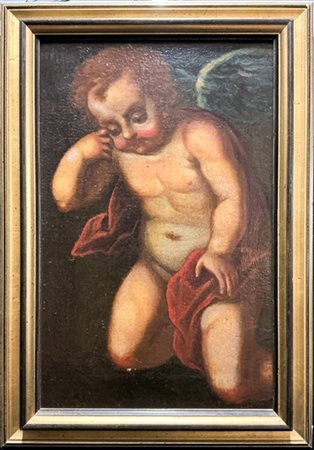 Ignoto

"Putto piangente"
olio su tela (cm 64x40,5)
in cornice dorata
(difetti)