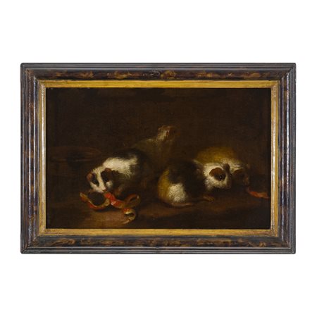 Giovanni Agostino Cassana (Mirandola 1658 circa - Genova 1720)