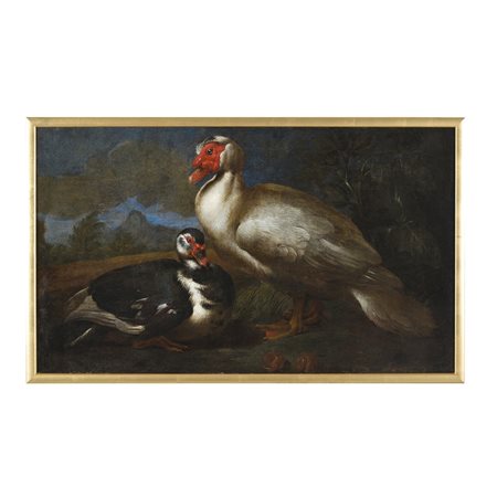 Jacob van der Kerckhoven, Giacomo da Castello (Anversa 1636/1637 - Venezia post 1712)