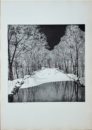 Federica Galli "Lanca gelata" 1981
acquaforte
(lastra cm 59,5x59; foglio cm 99,5
