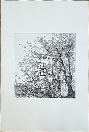 Federica Galli "Castagno" 1988
acquaforte
(lastra cm 49,5x48,8; foglio cm 99,5x6