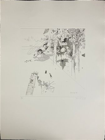 Gianfranco Ferroni "Analisi di un paesaggio" 1967
acquaforte
(lastra cm 26,3x24,