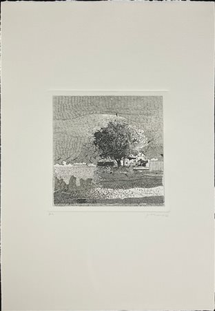 Gianfranco Ferroni "Il grande albero" 1966
acquaforte - prova d'artista
(lastra