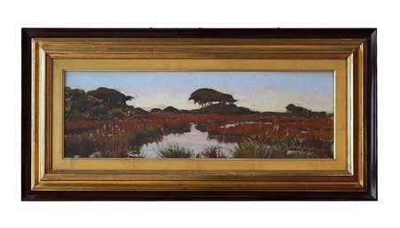 Angiolo Volpe (Livorno, 1943), Maremma, Alberese, palude