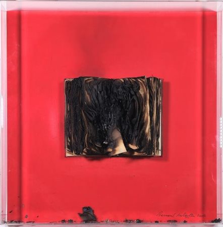 Bernard Aubertin "Livre Brulè"  2007
