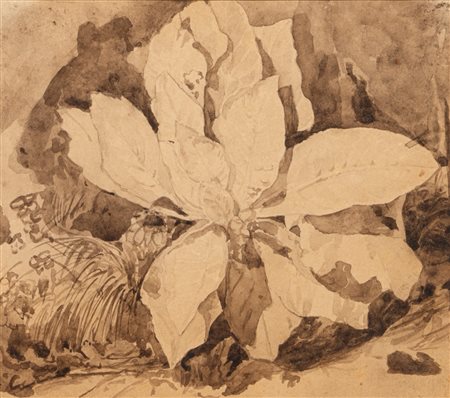 Scuola di Posillipo - Studio di vegetazione