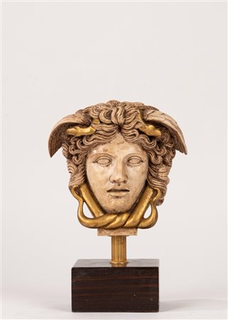 Testa di Medusa in gesso
