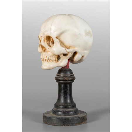 Teschio, scultura in marmo bianco statuario con 